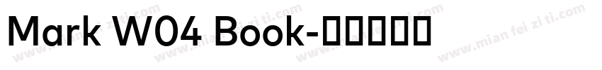 Mark W04 Book字体转换